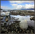 Picture Title - Tides Out