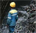 Picture Title - Cleaning the river