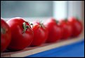 Picture Title - Six Ripe Tomatoes sitting on a sill