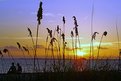 Picture Title - Sunset at Ponce de Leon Park