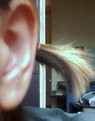 Picture Title - My Ear