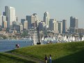 Picture Title - Summer in Seattle