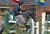 Junior Olympics in Poland in Horse Jumping