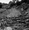 Picture Title - stair way