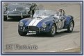 Picture Title - Cobra