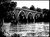 OLd Bridge over Savannah River