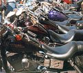 Picture Title - Harley Heaven