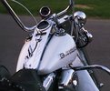 Picture Title - White Harley