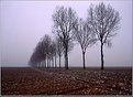 Picture Title - The Somme in Winter