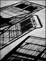 Picture Title - Natural shadow abstract...