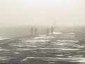 Picture Title - Into the fog