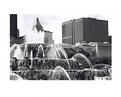 Picture Title - Buckingham Fountain