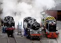 Picture Title - Steam Trains