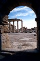 Picture Title - Palmyra3