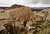 Tent Rock National Monument