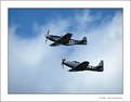 Picture Title - P51D and Escort