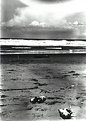 Picture Title - The beach 