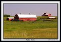 Picture Title - Prairie Barns!