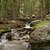 The Brook At Horse Thief Pass