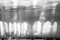 Picture Title - Noche de Copas