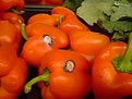 Picture Title - Colorful Produce