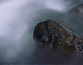 Picture Title - Rock and Water