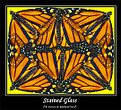 Picture Title - Stained Glass?