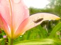 Picture Title - When it Rains, Take Shelter