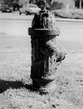 Picture Title - fire hydrant