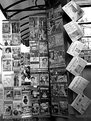 Picture Title - Global Information