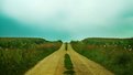 Picture Title - a Minnesota gravel road