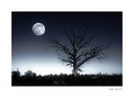 Picture Title - Tree and Moon