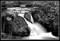 Picture Title - Waterfall in BW