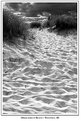 Picture Title - Beach Path