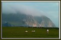 Picture Title - He has company, Achill island