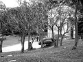 Picture Title - Square in Winter
