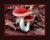 Fantasian Mushrooms