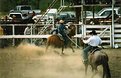 Picture Title - Calf Roping