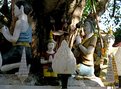 Picture Title - Statues round Bhodisatva tree 2