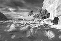 Picture Title - Monument Valley - Two Trees B&W