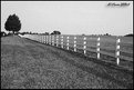Picture Title - The fence