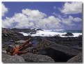 Picture Title - Kauai: Kilauea Rocks