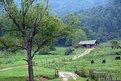 Picture Title - Blue Ridge Country