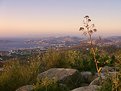 Picture Title - Yalikavak-Bodrum