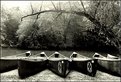 Picture Title - Canoes by South Fork River