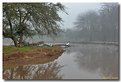 Picture Title - Foggy Morning