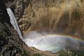 Picture Title - Yellowstone - Lower Falls