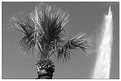 Picture Title - Elements