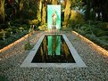 Picture Title - GARDEN