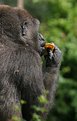 Picture Title - Having lunch...